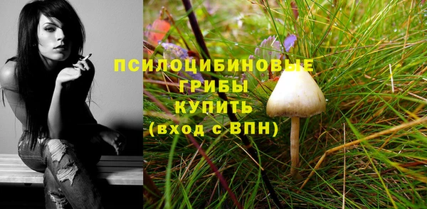 прущий лед Абаза
