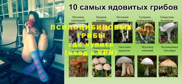 прущий лед Абаза
